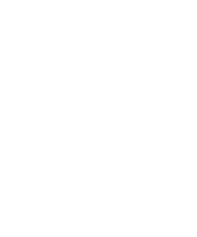 Star Icon